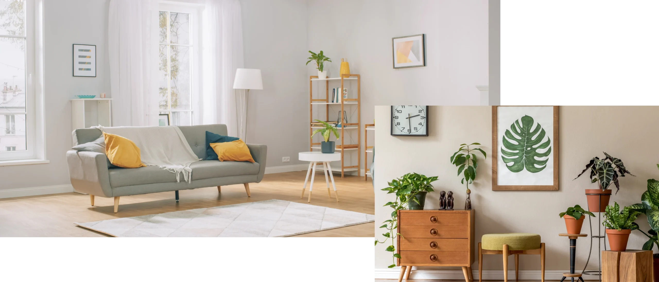 Minimalist room featuring natural decor